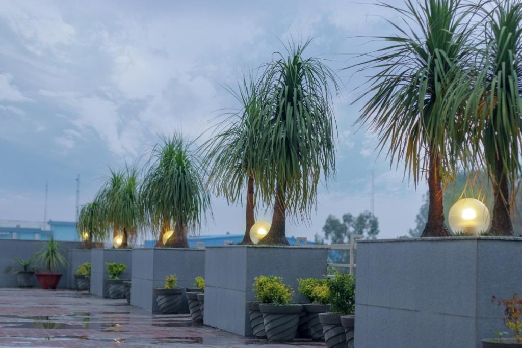 Mg Regency Hotel Baddi Exterior foto